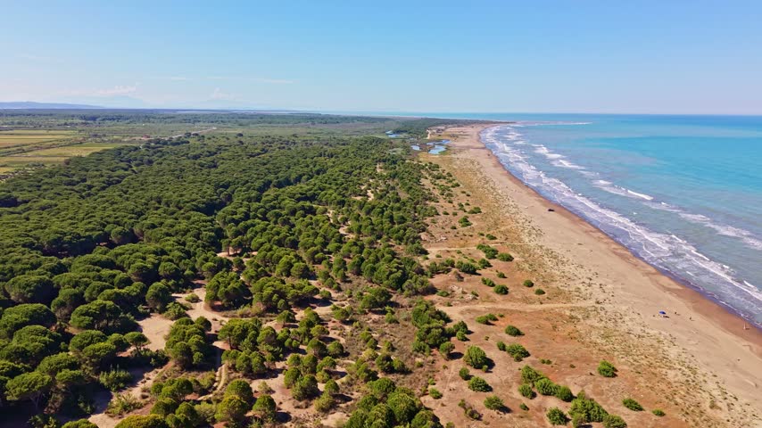 Wide drone shot following the long sandy shoreline of Spille Beach, with pine-covered land on one side and the Adriatic Sea on the other.