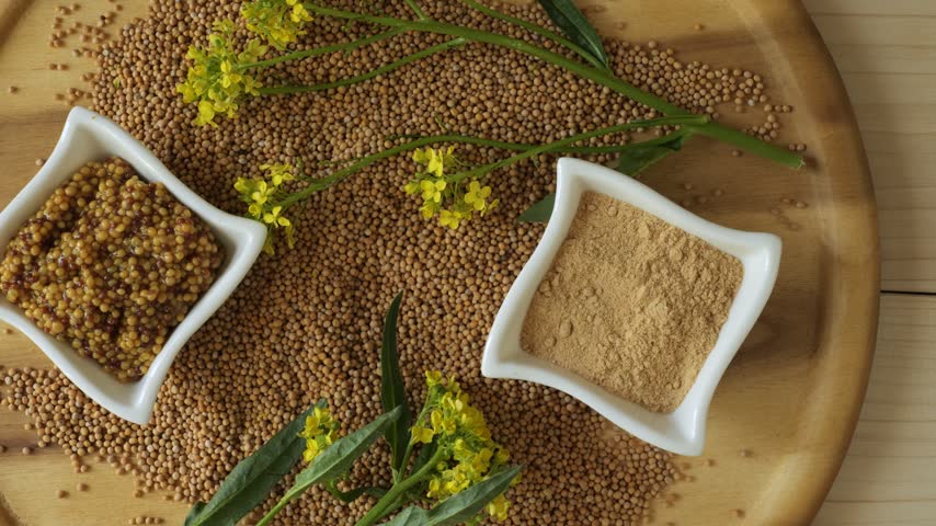 Different types of mustard including seeds, powder, and sauce presented on a wooden board