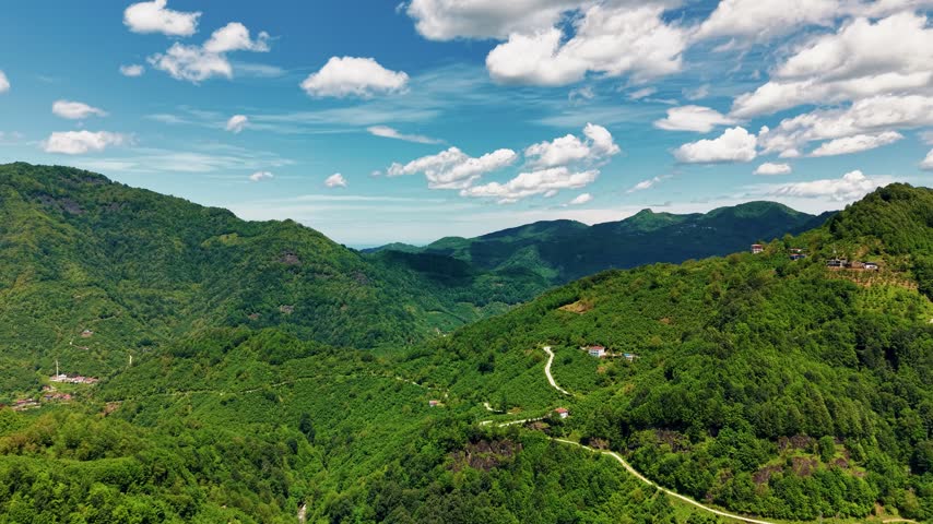 Aerial view of lush green mountains and a forested valley with winding rural roads under a blue sky in the Black Sea region, Turkey