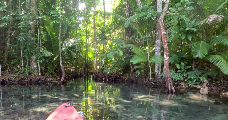 Tourists kayak on a beautiful lake surrounded by wildlife.