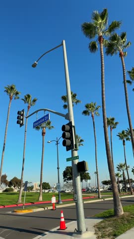 Vertical view of traffic lights and tall palm trees at the Shoreline Drive and Beach Path intersection in sunny Long Beach