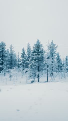 Authentic side perspective of a vehicle journeying through a snow-covered forest along Inarijarventie road in Lapland, Finland, during winter. Captures raw natural beauty.