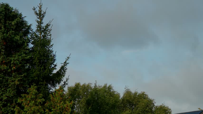 Military transport aircraft flies low overhead across cloudy sky above lush green trees in Oosterbeek during multinational Falcon Leap airborne memorial operation.