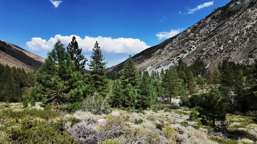A view of the Big Pine Creek along the Big Pine Trail showing glacial trail in the mountains in the John Muir National Wilderness with the glacial terrain and mountains showing the trail and the glacial features as a man hikes the trail