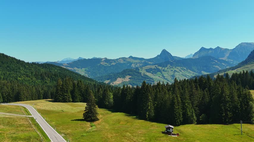 Aerial view from Sattelegg Pass in Canton Schwyz, Switzerland, with a winding mountain road, Alpine meadows, dense conifer forest and dramatic peaks under clear summer skies.
