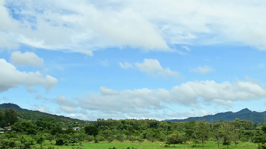 A magnificent morning landscape featuring the sky, sunlight, grasslands, and animals foraging