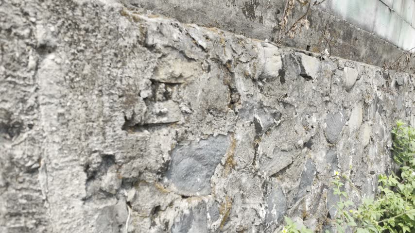 Rough Weathered Stone Wall with Moss and Lichen