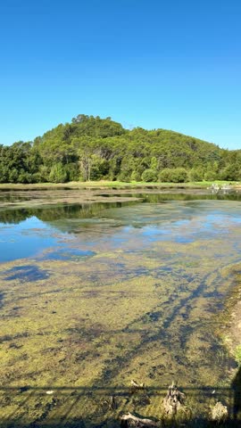 A tranquil lake scene with mountains and lush greenery under a clear blue sky,A tranquil lake reflection under blue sky