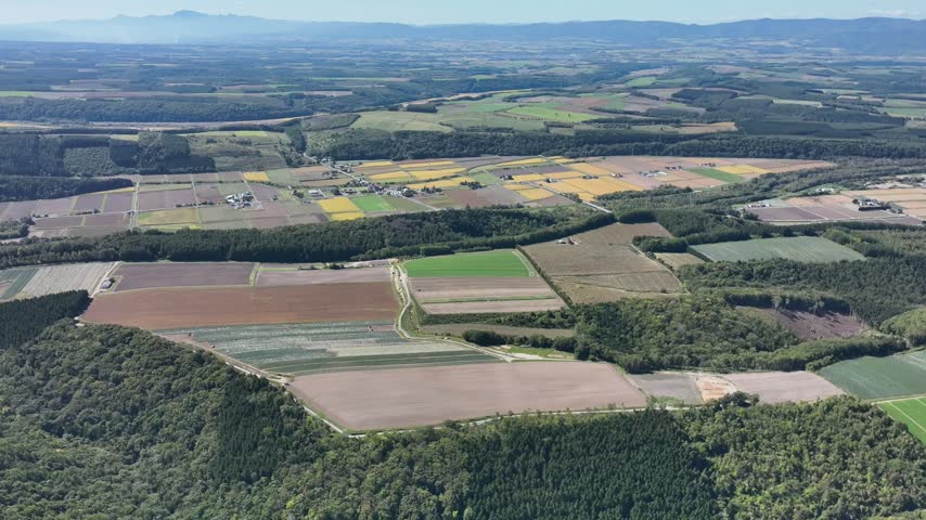 High angle aerial view of vibrant agricultural fields and green forests in rural countryside under a clear blue sky in Hokkaido.