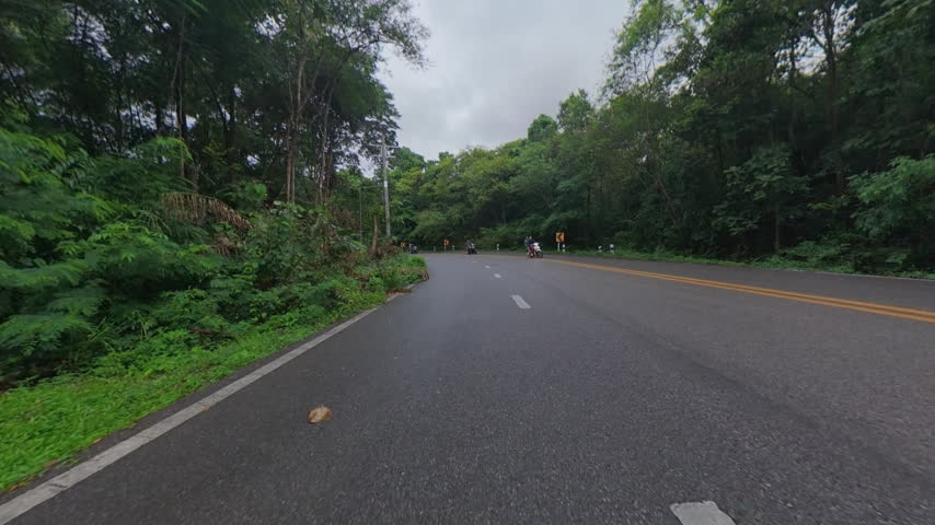 Scenic winding road through lush green forest, featuring road curves, roadside vegetation and a peaceful tropical landscape suitable for travel and transportation concepts.