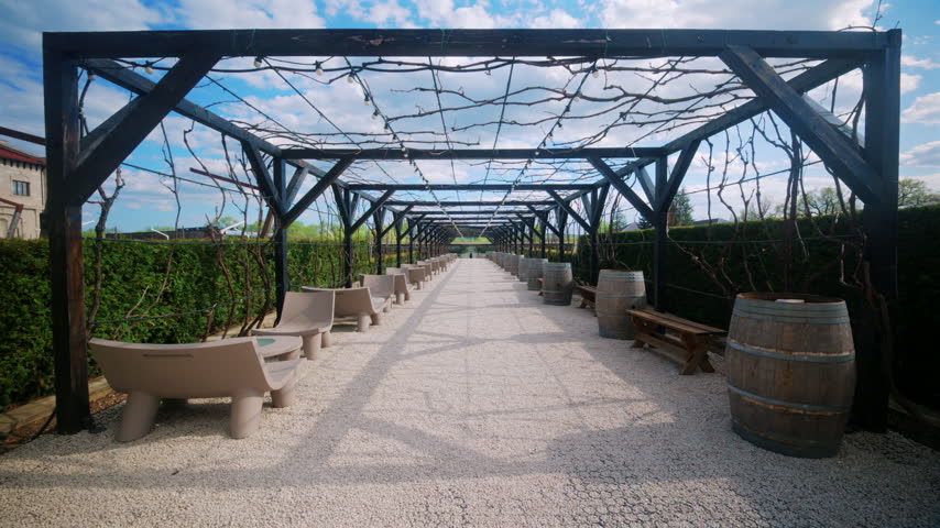 Symmetrical view of a pergola walkway at castle winery in Moldova, with grapevine branches, wooden barrels, outdoor seating, and bright sunlight