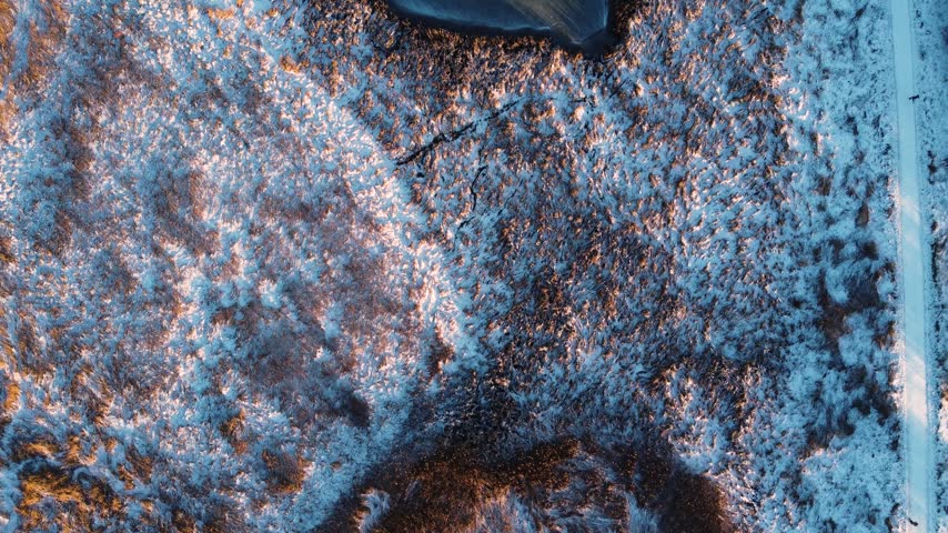 Snow-covered wetland vegetation at Ega Engso lake wetland near Aarhus, Denmark in winter, aerial top-down textured backdrop