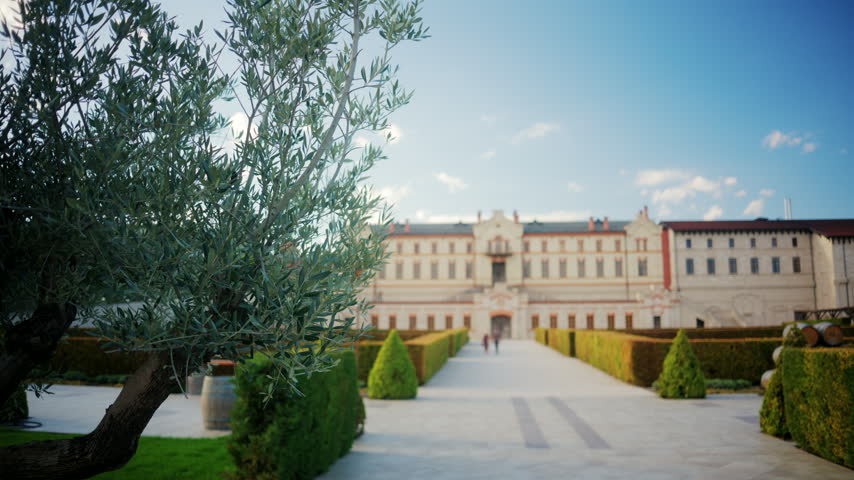 A potted olive tree frames the walkway and historic facade of winery castle in Moldova, creating a calm and elegant view of the winery estate