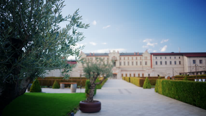 A potted olive tree frames the walkway and historic facade of winery castle in Moldova, creating a calm and elegant view of the winery estate