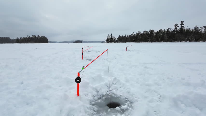 Ice fishing lines extend into drilled holes on a snow-covered frozen lake, with a wooded shoreline beneath an overcast winter sky.