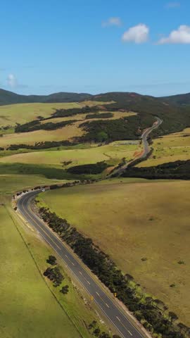 Scenic Road Through Northland Hills New Zealand. Aerial Vertical View