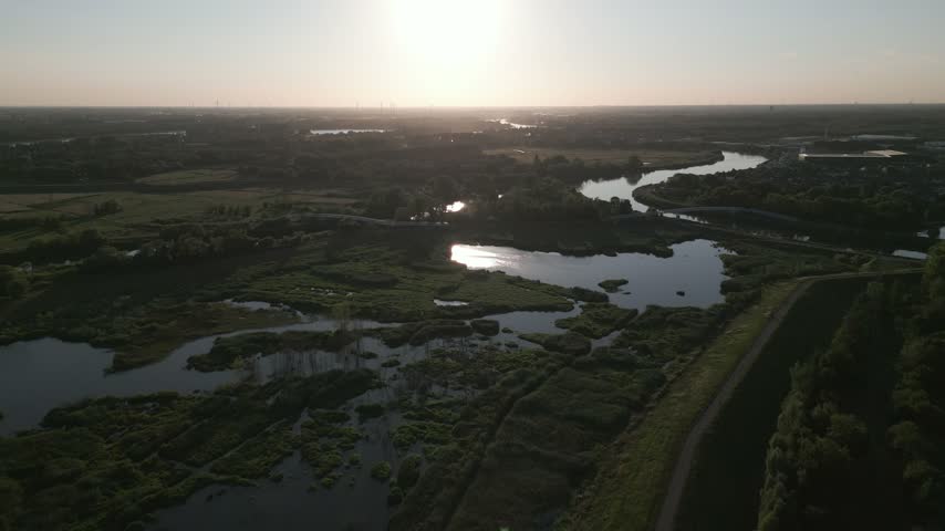 Swampy wetland area with water channels and lush vegetation in Belgium, natural landscape view