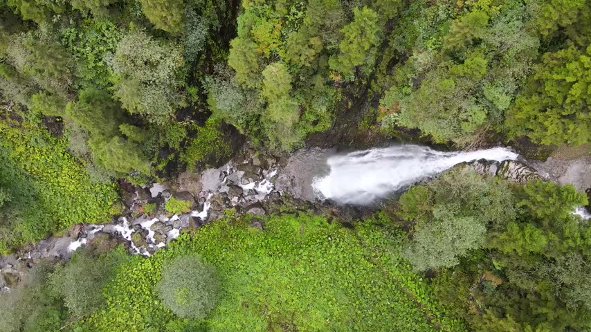 Mountains, forests, trees. Pine, cedar, hornbeam forests. A natural view of untouched mountains with rivers and waterfalls flowing through them.