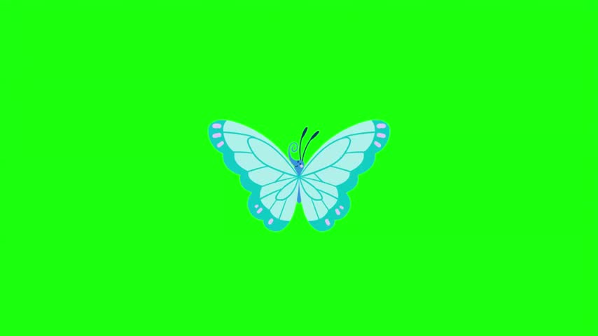 Cute blue butterfly vector illustration isolated on green screen.   