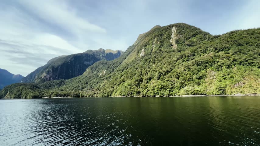 Sunlight lights the rainforest and pale rock bluff on the shore of Doubtful Sound, deep green water below and thin cirrus cloud in a blue sky. Wide shot