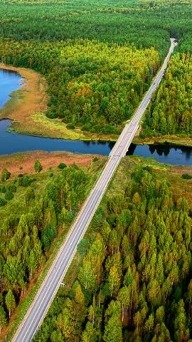 Aerial view of highway crossing vibrant autumn-colored forest and winding river bank