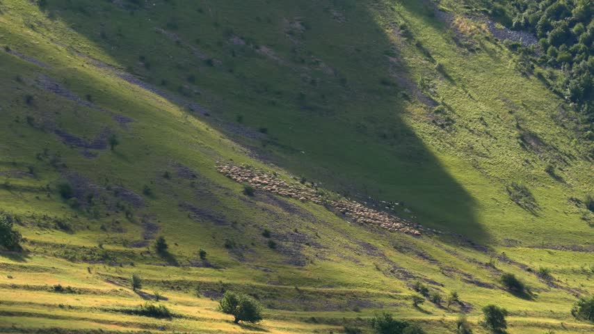 Sheep grazing on a rocky hillside on a sunny day with clouds drifting across the sky.