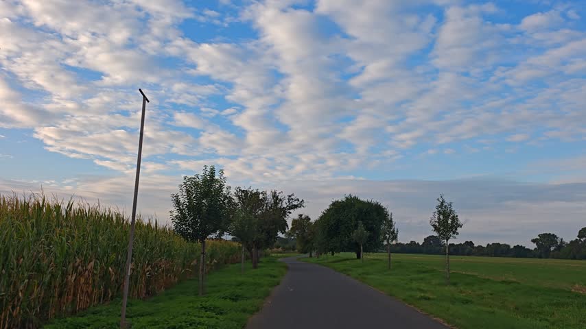Paved path through a rural orchard beneath textured evening clouds
