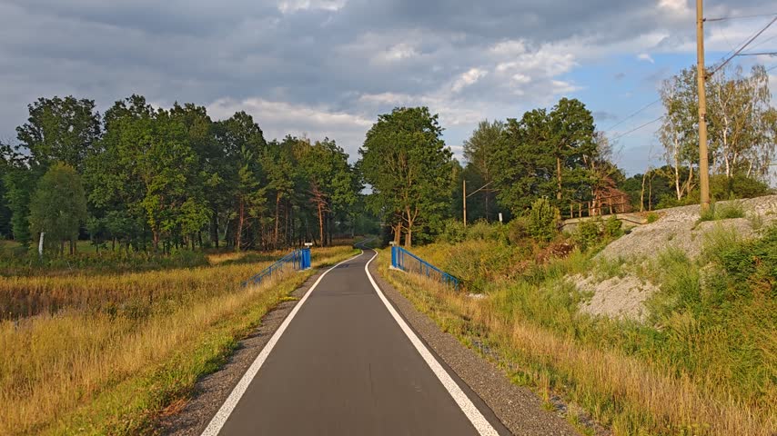 Smooth cycling path winding through a meadow beside woodland