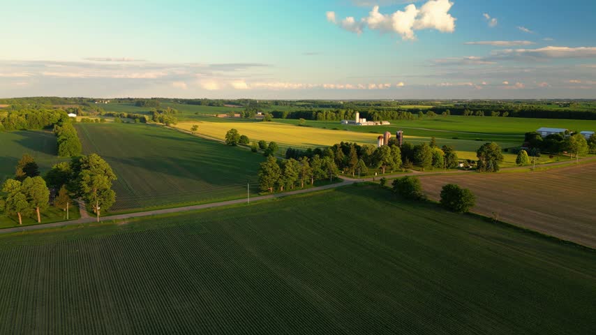 Golden hour light casting shadows on idyllic green farmland and crops in Ontario Near woodstock, Canada