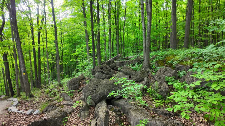 Rattlesnake Point Conservation Area, Milton, Ontario, Canada