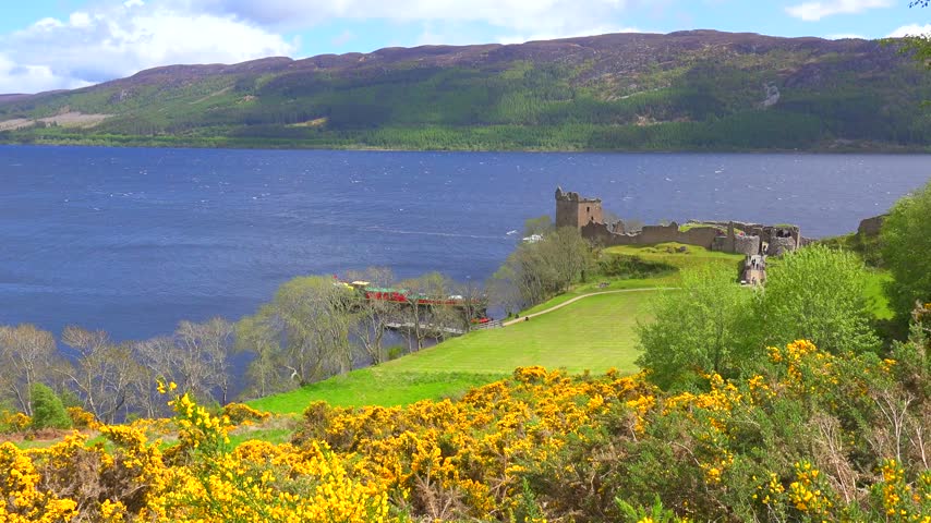 Scenic view of Urquhart Castle on Loch Ness, Scotland. Blooming gorse and lush green hills.