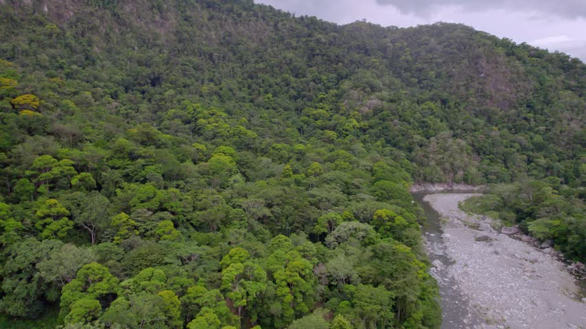 Winding river curves around dense tropical forest in Pico Bonito National Park, aerial overview of landscape