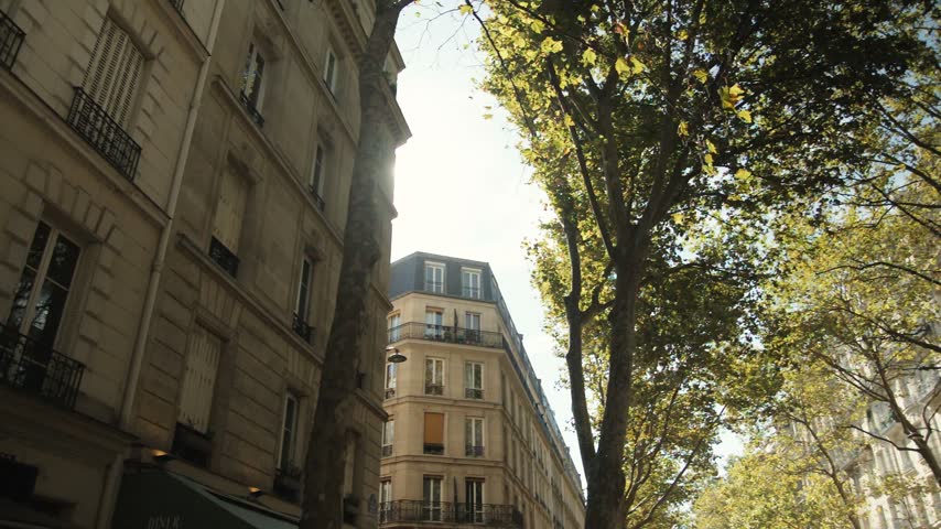 Low angle view of Parisian street buildings and trees in bright sunlight