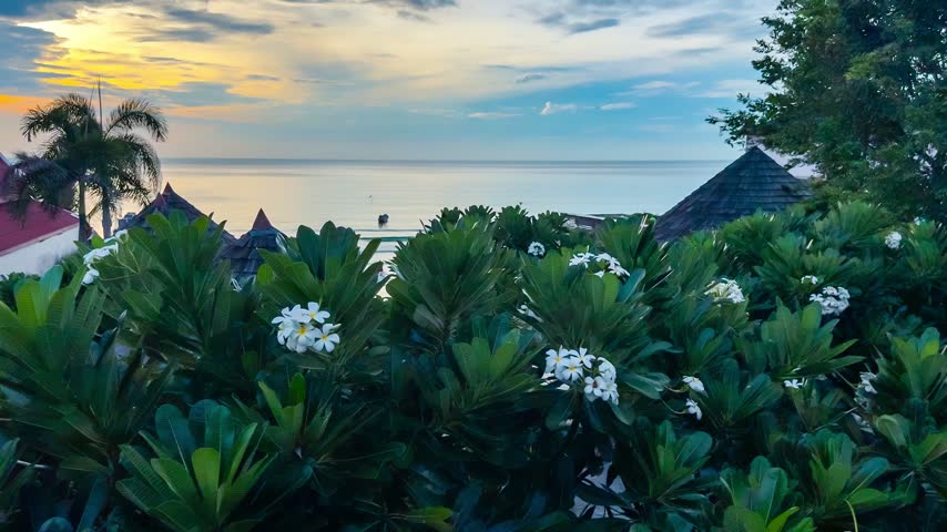 Morning light reveals a colorful sunrise over the ocean with lush plants and flowers framing the view.