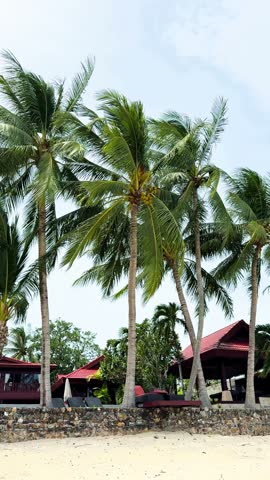 Palm trees move gently in the breeze near a beach resort. The sky is clear and the area is open.