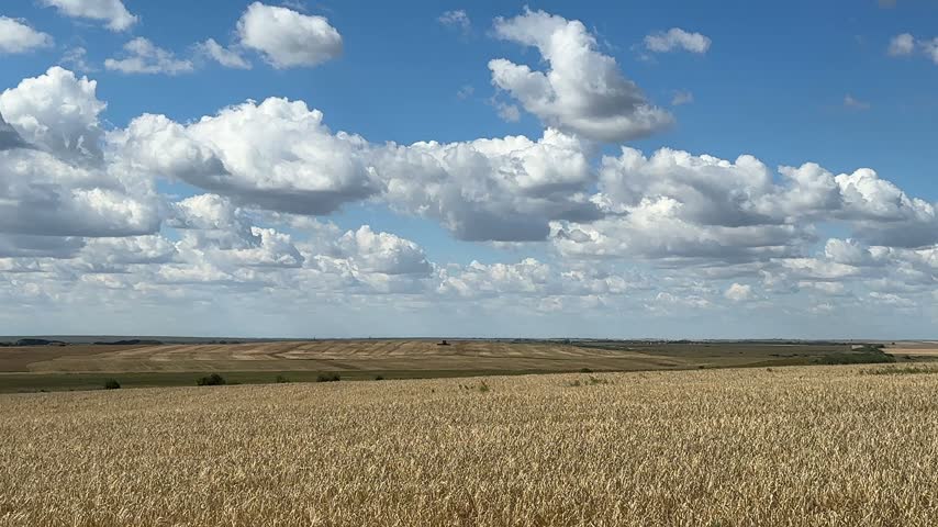 Scenic Alberta Farmland and Open Prairie Countryside Near Hussar Alberta Canada
