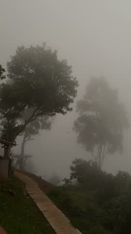 Foggy landscape with trees and a pathway. The scene is shrouded in mist, creating a serene and mysterious atmosphere.