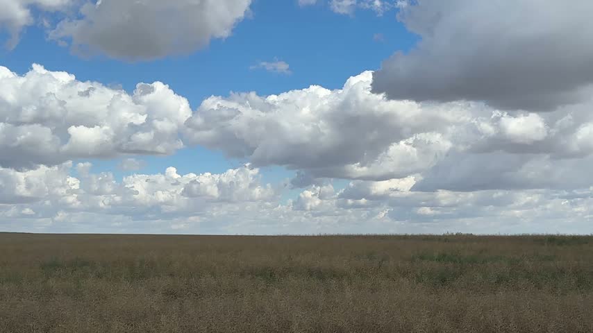 Scenic Alberta Farmland and Open Prairie Countryside Near Hussar Alberta Canada