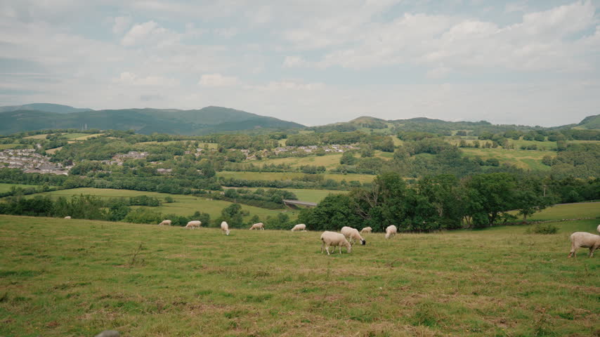 Green rolling hills in Bannau Brycheiniog National Park, formerly Brecon Beacons, Wales, UK - 4 September 2026.