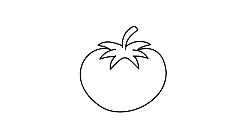 tomato outline icon motion graphic