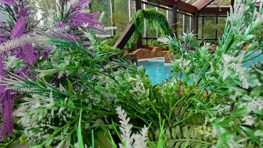 A greenhouse filled with a variety of plants, including flowers, trees, and foliage.