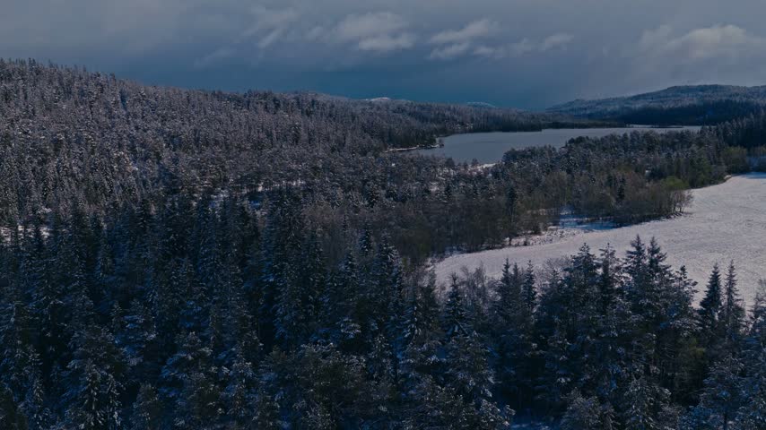 Dense Conifer Forests Cover Mountain Slopes Surrounding A Frozen Lake During Winter. Aerial Shot