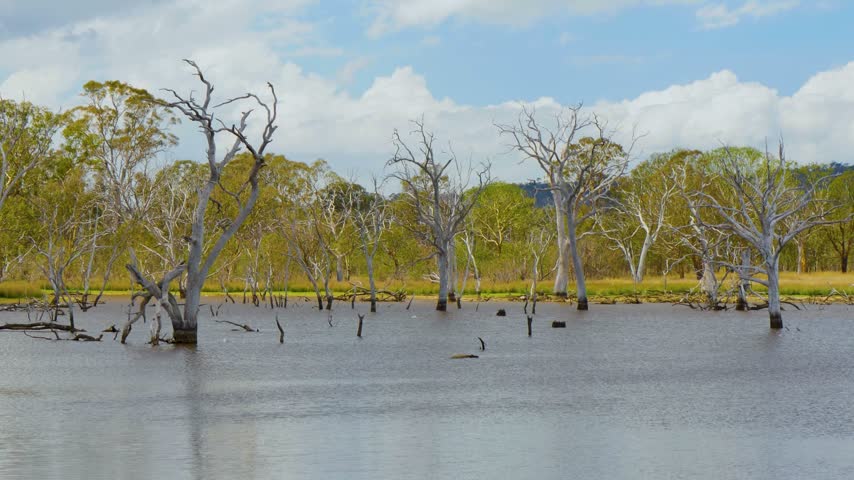 Wetlands landscape with blue sky and clouds