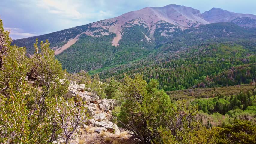 Elevated view of a lush forested valley and rugged mountain peaks in Great Basin National Park Nevada