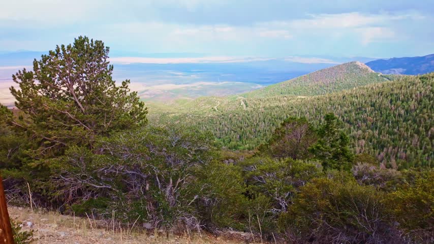Elevated view of a lush forested valley and rugged mountain peaks in Great Basin National Park Nevada