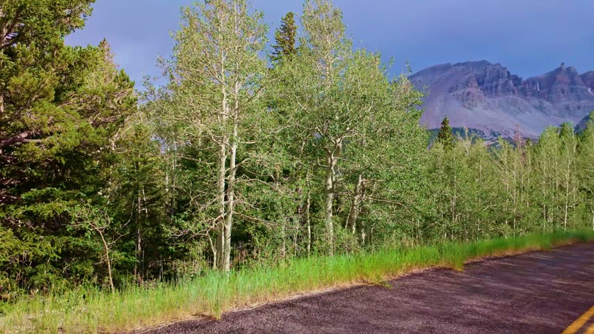 Paved scenic drive winding through pine forests toward rugged Wheeler Peak in Great Basin National Park Nevada