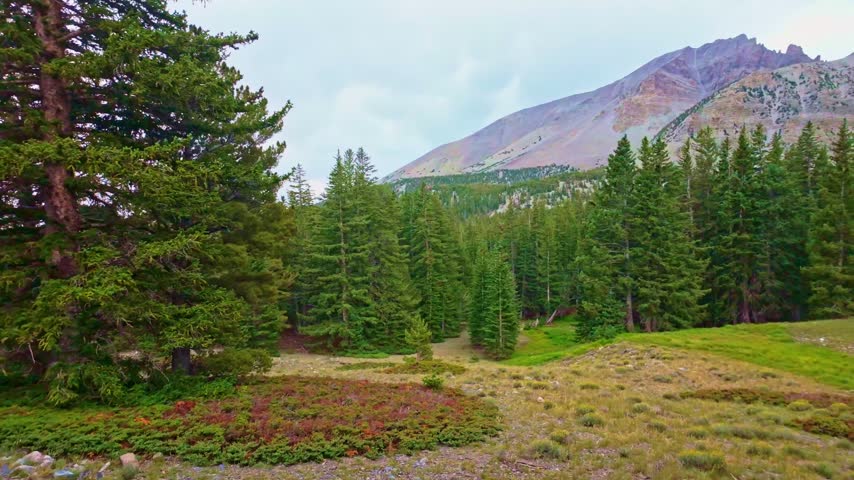 Towering rocky mountain peaks and scenic geology along the Alpine Lakes Loop trail in Great Basin National Park Nevada