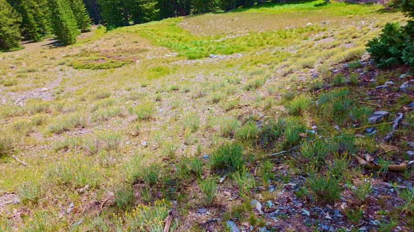 Towering rocky mountain peaks and scenic geology along the Alpine Lakes Loop trail in Great Basin National Park Nevada
