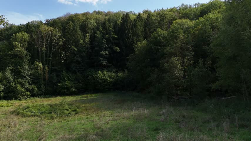 Drone Flight Rising Above a Green Forest in Late Summer