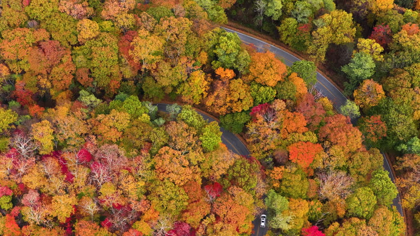 Cars driving on Blue Ridge Parkway in autumn season. Scenic route between majestic mountain hills covered in golden and scarlet leaves.